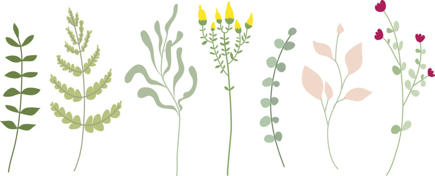 Cartoon floral set of green leaves, branches, twigs, wild meadow flowers. Botanical greenery herbarium. Isolated clip art.