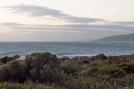 Evening light over a rugged Australian coast framed by dense native heath and distant cliffs