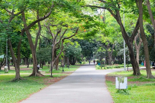 Dhaka, Bangladesh - 26 May 2024: View of Ramna Park with lush green trees lining a paved walkway, dappled sunlight, and people strolling in the distance.