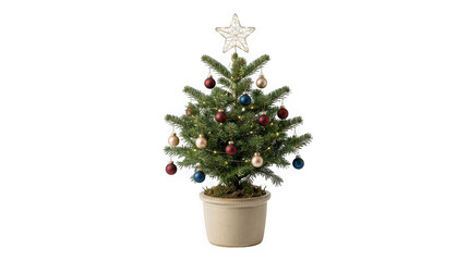 Fototapeta premium Small potted christmas tree with ornaments and star topper isolated on transparent background