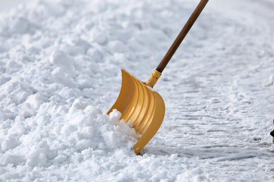 Yellow shovel clearing fresh snow during winter