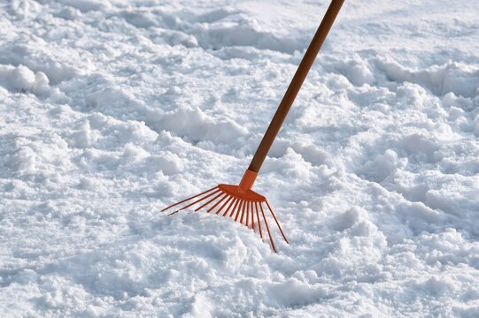 Orange rake standing in fresh white snow