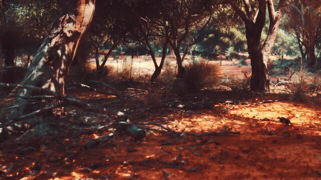 The scene shows a forest with tall trees and orange earth. Sunlight filters through the leaves. Some fallen branches and shrubs are visible. The ground has patches of grass and plants.