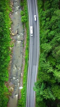 Top down view of cars driving along the road among the coniferous forest