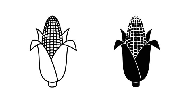 Vector illustration of corn cob icon set, maize vegetable symbol, organic food sign on a transparent background