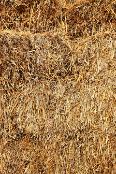 Golden straw texture background. Dry hay stack pattern close up. 
Dry agricultural straw bale texture background. Rural harvest concept.