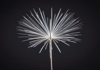 Fototapeta premium Nature's Intricate Engineering Dandelion Seed's Radial Filaments on Dark