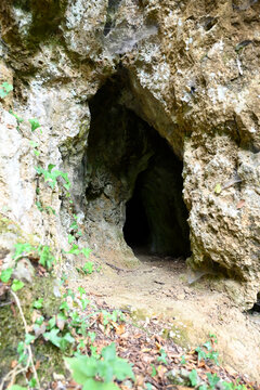 Le grotte del Piano di Mommio. Buca delle Fate - Parco Archeologico Preistorico - Buca del Capriolo - Buca della Iena - Buca di Fondineto - Buca delle Fate Nord - Buca delle Fate sud