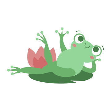 frog on a leaf