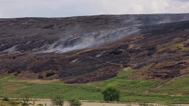 Smoke drifting across scorched moorland slope after wildfire, Llangynidr Moors, Brecon Beacons, Wales, wide view of burnt landscape