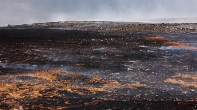 Burnt moorland landscape following grass fire, smoke rising from blackened earth and dry grass under overcast sky, wide view