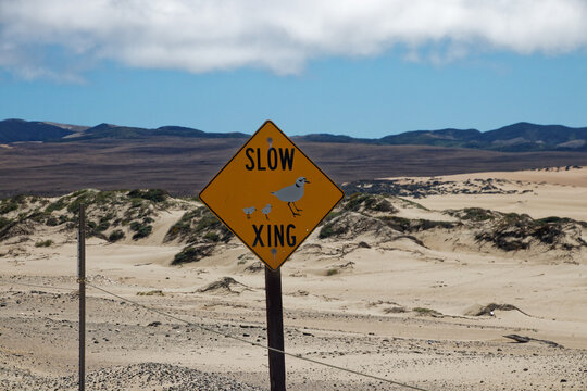 Slow Xing Bird Crossing Sign on Coastal Sand Dunes