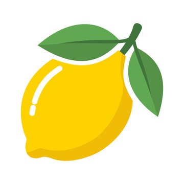 Fresh Yellow Lemon with Green Leaves Vector