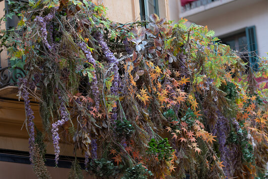 Colorful Autumn Floral Installation Decorating an Urban Balcony