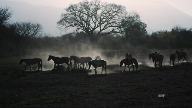Silhouetted herd stirs dust beneath a lone bare tree at dawn