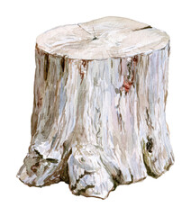 Obraz premium Watercolor tree stump PNG on transparent background, rustic wood cutout.