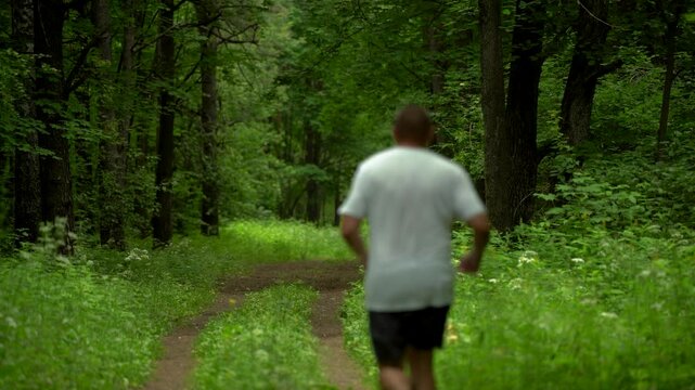 Man Running Along a Green Forest Trail