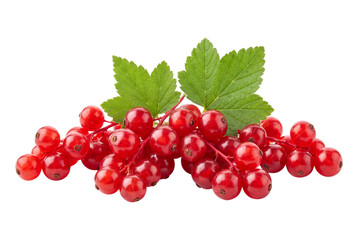 Fresh red currants with leaves isolated on transparent background © Photo Find
