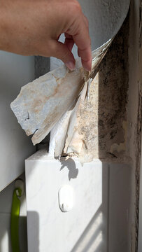 Hand peeling old wallpaper from a moisture-damaged wall. 