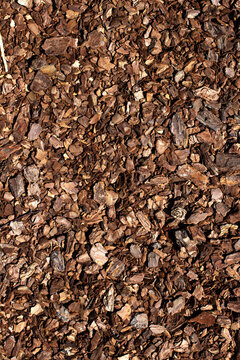 Pine bark mulch closeup. Shredded timber texture. Garden wood chip pattern. Natural tree bark background. Brown organic ground cover. Landscaping mulch backdrop. Rough wood pieces layer. Earthy timber