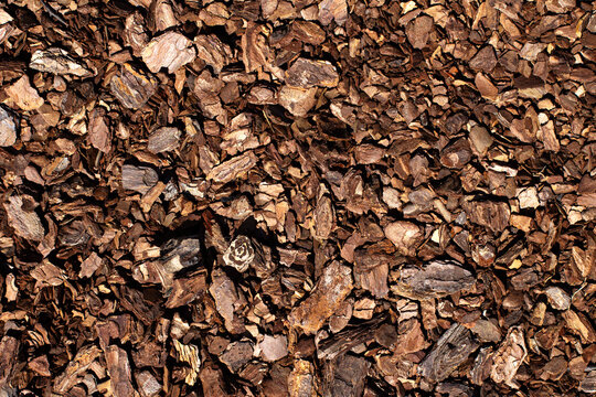 Wood chips macro. Pine bark mulch. Tree bark background. Brown timber pieces. Organic ground cover. Garden mulch texture. Shredded bark pattern. Natural wood fragments. Landscaping bark backdrop