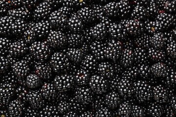 Heap of ripe tasty blackberries as background, closeup © New Africa