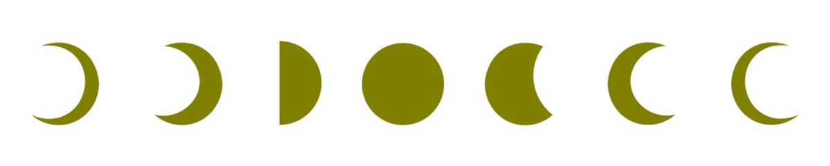 Olive Moon Phase Illustration Set Isolated on Transparent Background PNG Lunar Vector Symbols © House of Designs