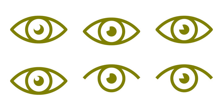 Olive Flat Eye Icon Set Isolated on Transparent Background PNG Vision Sight Vector Symbols