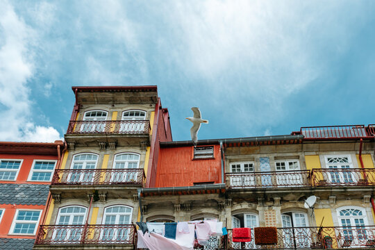 low angle view of Colorful Historic Building Facades with Seagull Flying Over in Porto Portugal