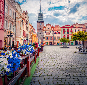 Astonishing afternoon view of Green Gate Tower with blooming flower on foreground. Majestic summer cityscape of Pardubice town, Czech Republic, Europe. Traveling concept background.