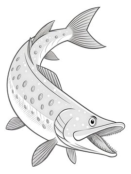 Cartoon fish swimming with open mouth illustration