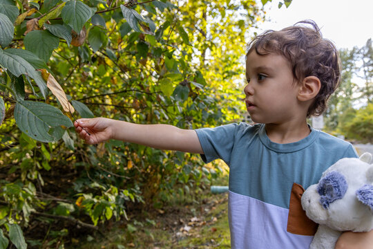 Curious Young Boy Exploring Leaves in Nature Reserve Holding Stuffed Animal at Great Blue Heron Nature Reserve