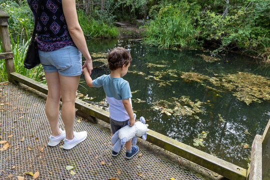 Mother And Young Son Holding Hands By Pond At Great Blue Heron Nature Reserve, Chilliwack BC Canada