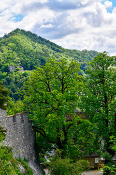 Historische Steinmauer der Ruine Stein vor gruenen Baeumen und dem bewaldeten Chr&uuml;zliberg in Baden, Kanton Aargau, Schweiz