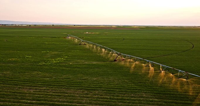 Center pivot irrigation system watering green agricultural field at sunset aerial view