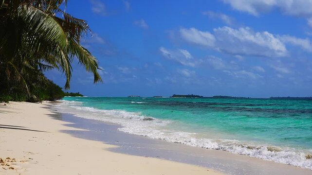 Ocean waves lap gently against a white sandy shoreline bordered by palm trees beneath a clear sky in Maldives.