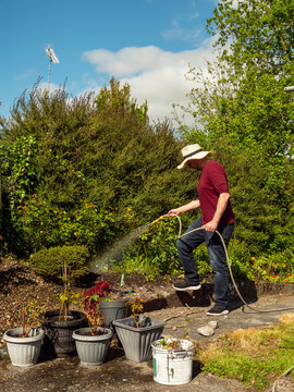 Gardener waters vibrant orange marigolds under sunny skies. Man in hat smiles as he tends to lush greenery. Ideal for gardening, summer, or wellness themes. Path leads through thriving plants