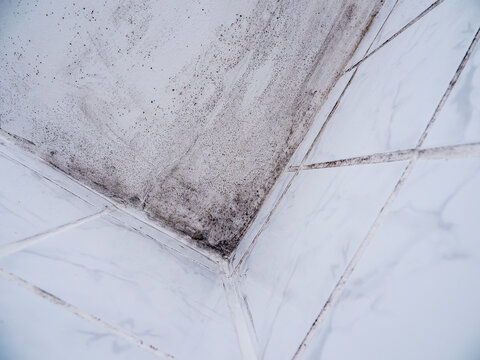 Corner of dirty, moldy ceiling meets white tiled walls. Dark spots show moisture damage and decay. Walls have visible grout lines and fading paint. Image captures neglected, damp interior condition