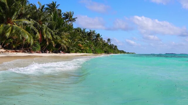 Gentle turquoise sea waves break on a white sand shore lined with palm trees under a sunny sky in Maldives, with people relaxing on the sand.