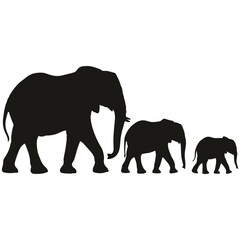 Elephant Family Silhouette Vector Black Animals Walking © MH Mehedi