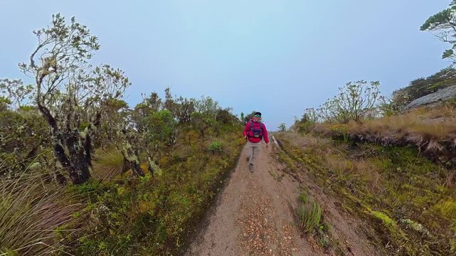 Hiker exploring the colombian paramo trail
