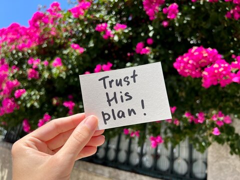 Trust His plan - hand with christian text with pink flowers on background, biblical motivation card	