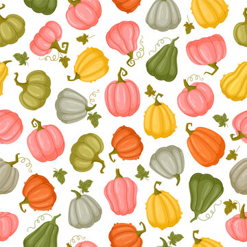Colorful pumpkin seamless pattern. Assorted pink, orange, yellow and green pumpkins with leaves flat vector background illustration. Autumn harvest endless design