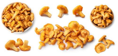 Fresh orange chanterelles isolated on white, set. Edible mushrooms © New Africa