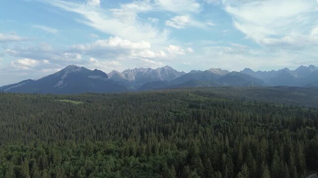 Cinematic 4K Drone Footage of Vast Mountain Wilderness, Evergreen Woods, and Dramatic Sky
