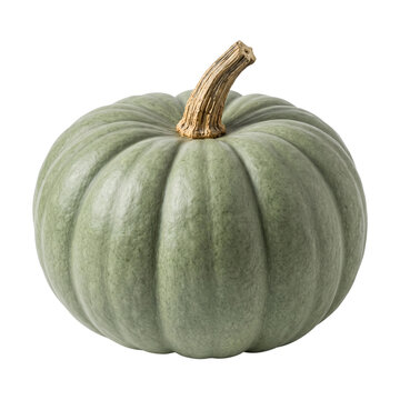 Green ribbed pumpkin