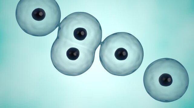 Cell Division 3D Animation for Biology Education and Medical Research