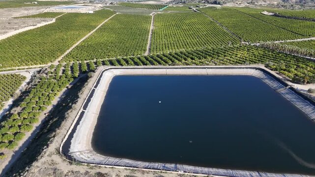 Aerial View of Irrigation Reservoir Surrounded by Citrus Orchard