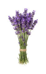 Obraz premium Purple Lavender Flower Bouquet Tied With Rustic Rope Isolated