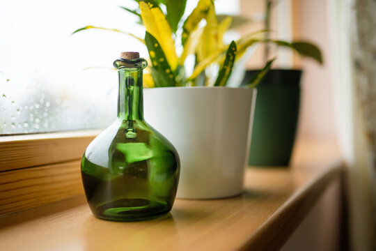 Decorative green glass bottle displayed on a wooden windowsill among lush houseplants. Sunlight highlights the translucent vintage-style glass and creates a cozy botanical interior scene.